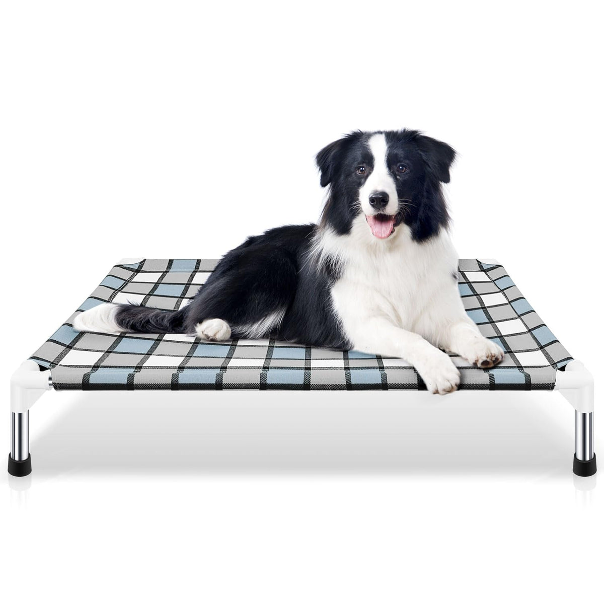 Elevated Dog Bed — Raised Outdoor Pet Cot for Medium Dogs