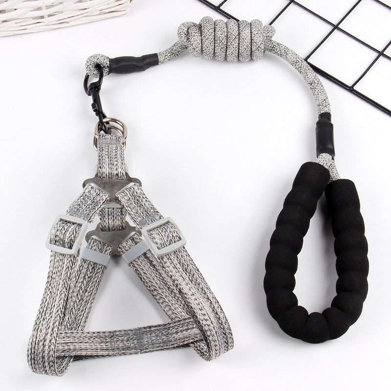 Luxury Pet Lead and Harness