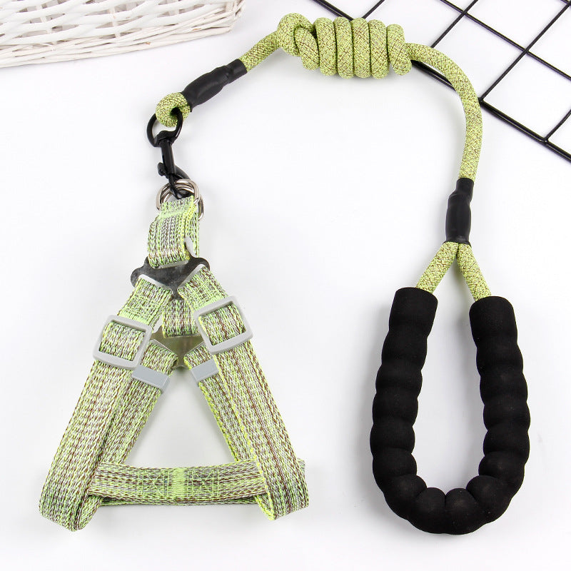 Luxury Pet Lead and Harness