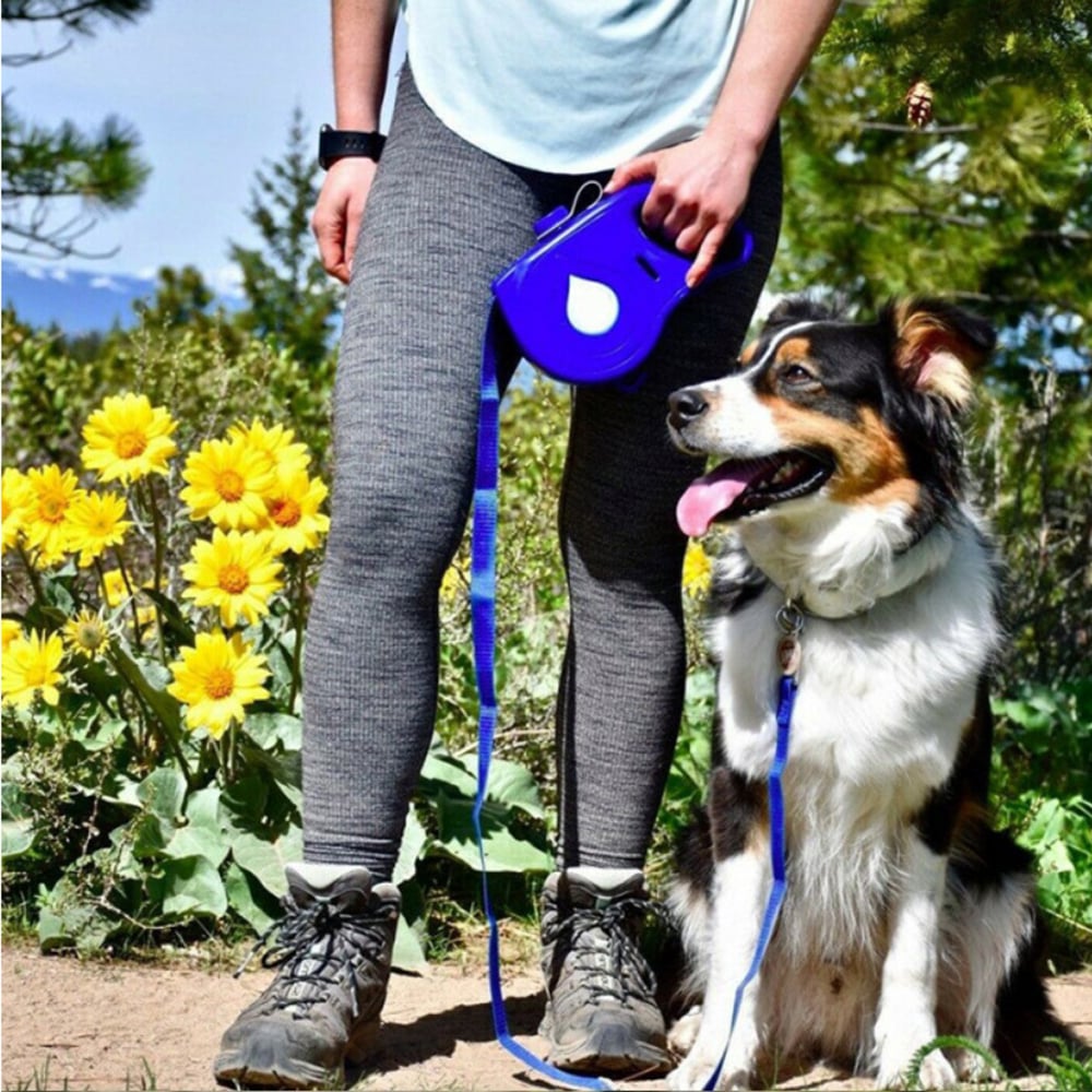 Portable Automatic Retractable Pet Leash — Multifunctional Dog Walking Lead