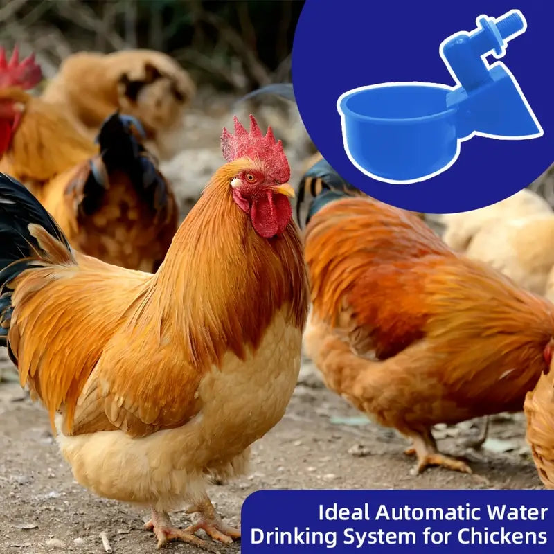 EasyFeed Poultry Hydration System — Automatic Water Feeder for Chickens & Birds