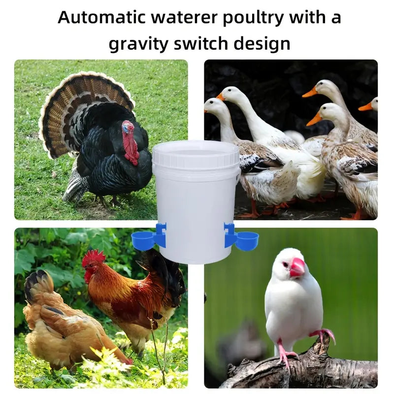EasyFeed Poultry Hydration System — Automatic Water Feeder for Chickens & Birds