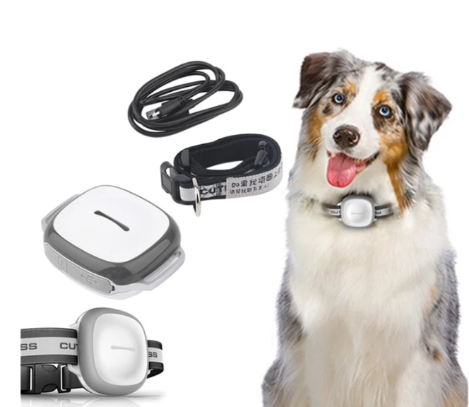 Pet Locator Device — GPS Tracker for Dogs & Cats