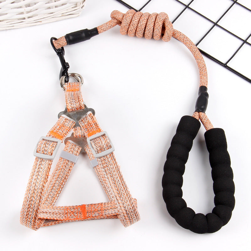 Luxury Pet Lead and Harness