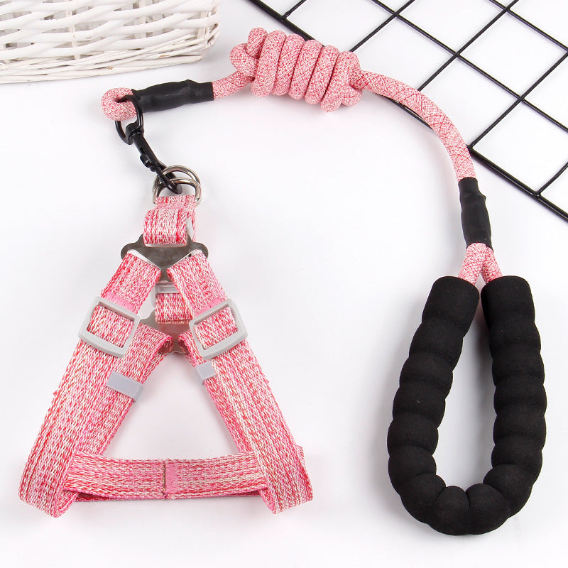 Luxury Pet Lead and Harness