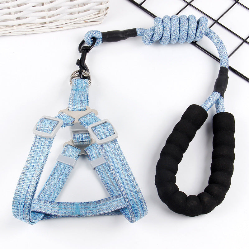 Luxury Pet Lead and Harness