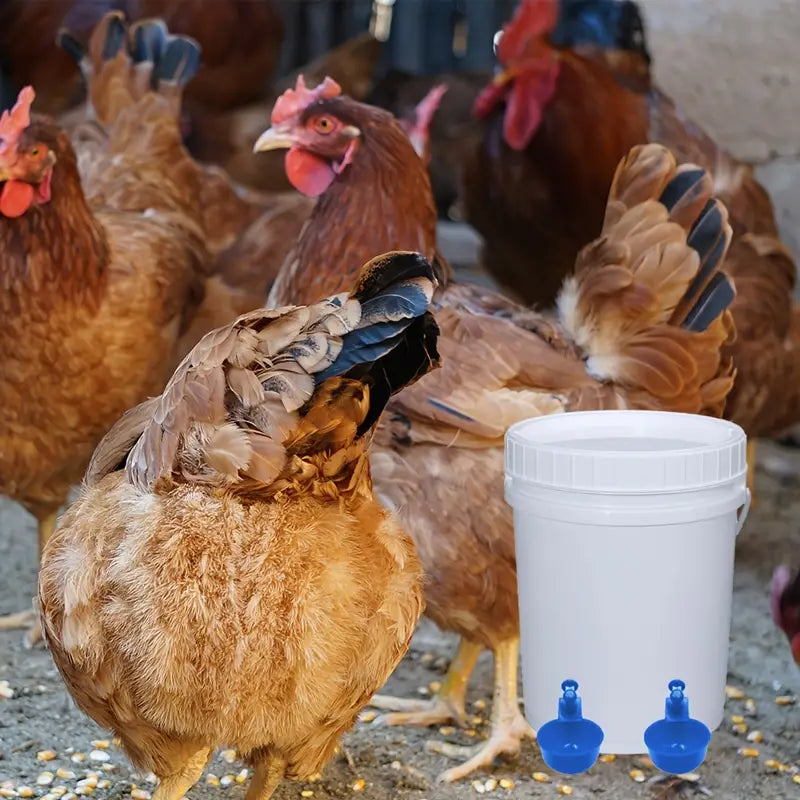 EasyFeed Poultry Hydration System — Automatic Water Feeder for Chickens & Birds
